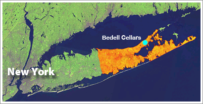 Long_Island_Small Long_Island_Small